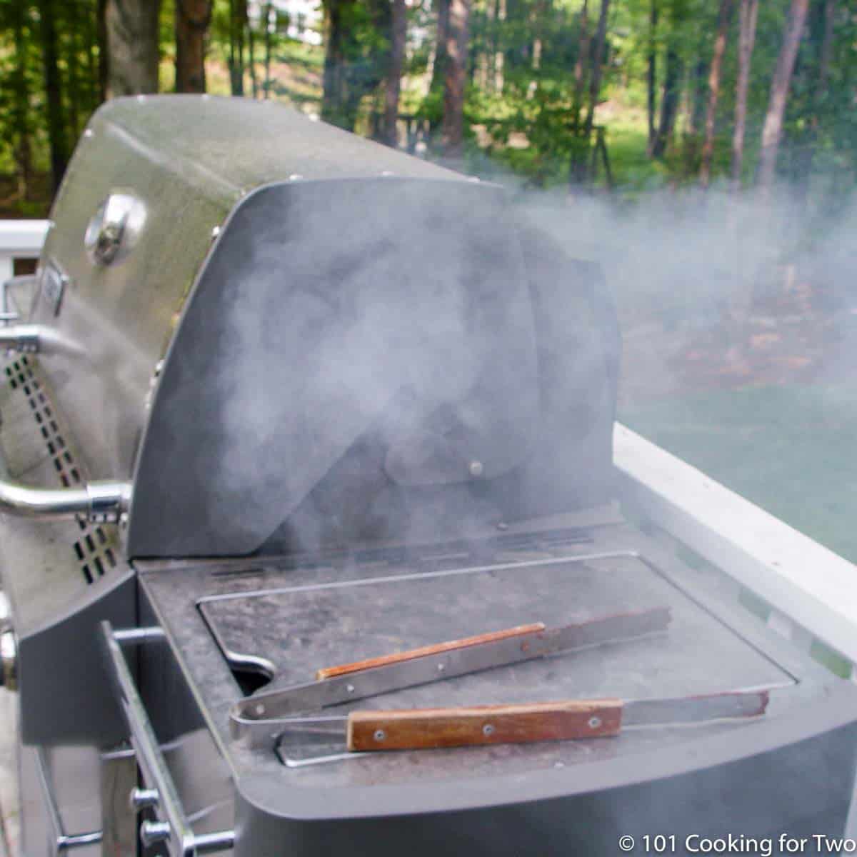 https://www.101cookingfortwo.com/wp-content/uploads/2019/04/image-of-smoking-gas-grill.jpg