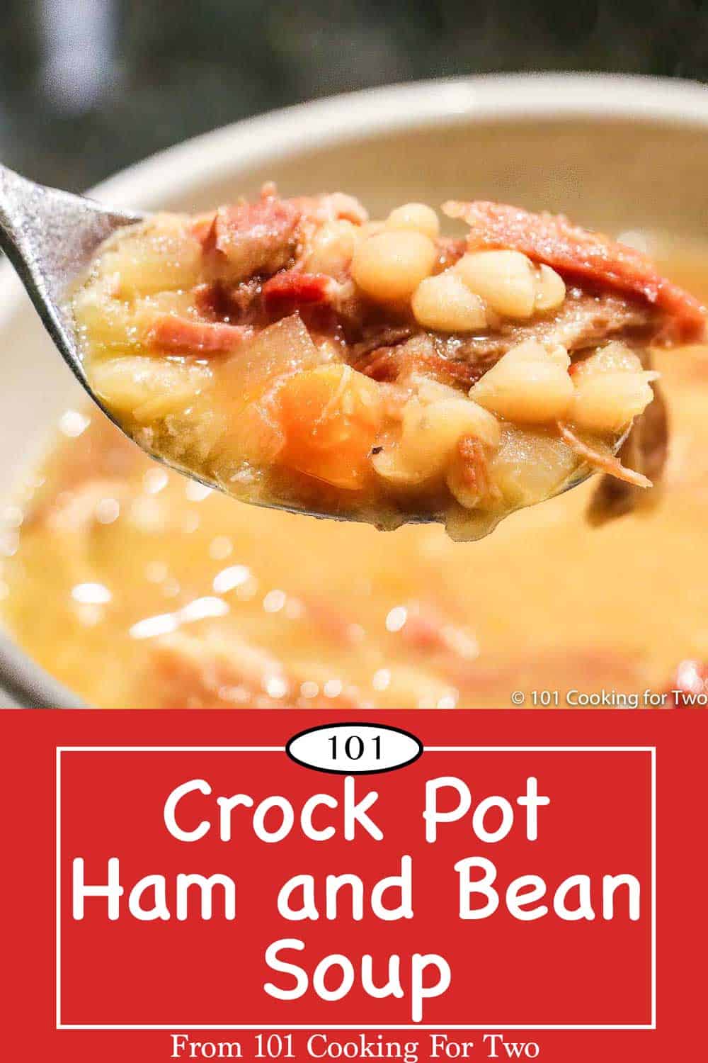 Crock Pot Ham and Bean Soup - 101 Cooking For Two