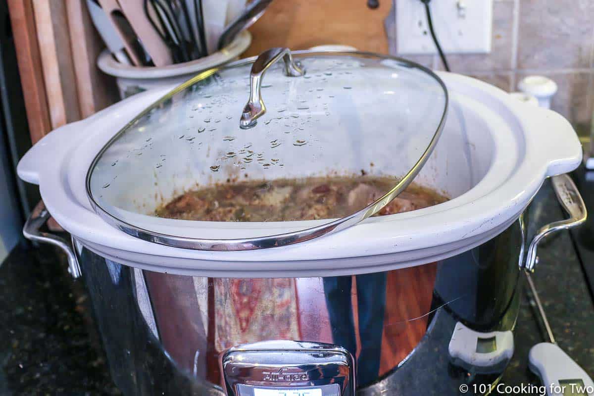 How to Choose a Slow Cooker  Slow Cooking 101 Getting Started