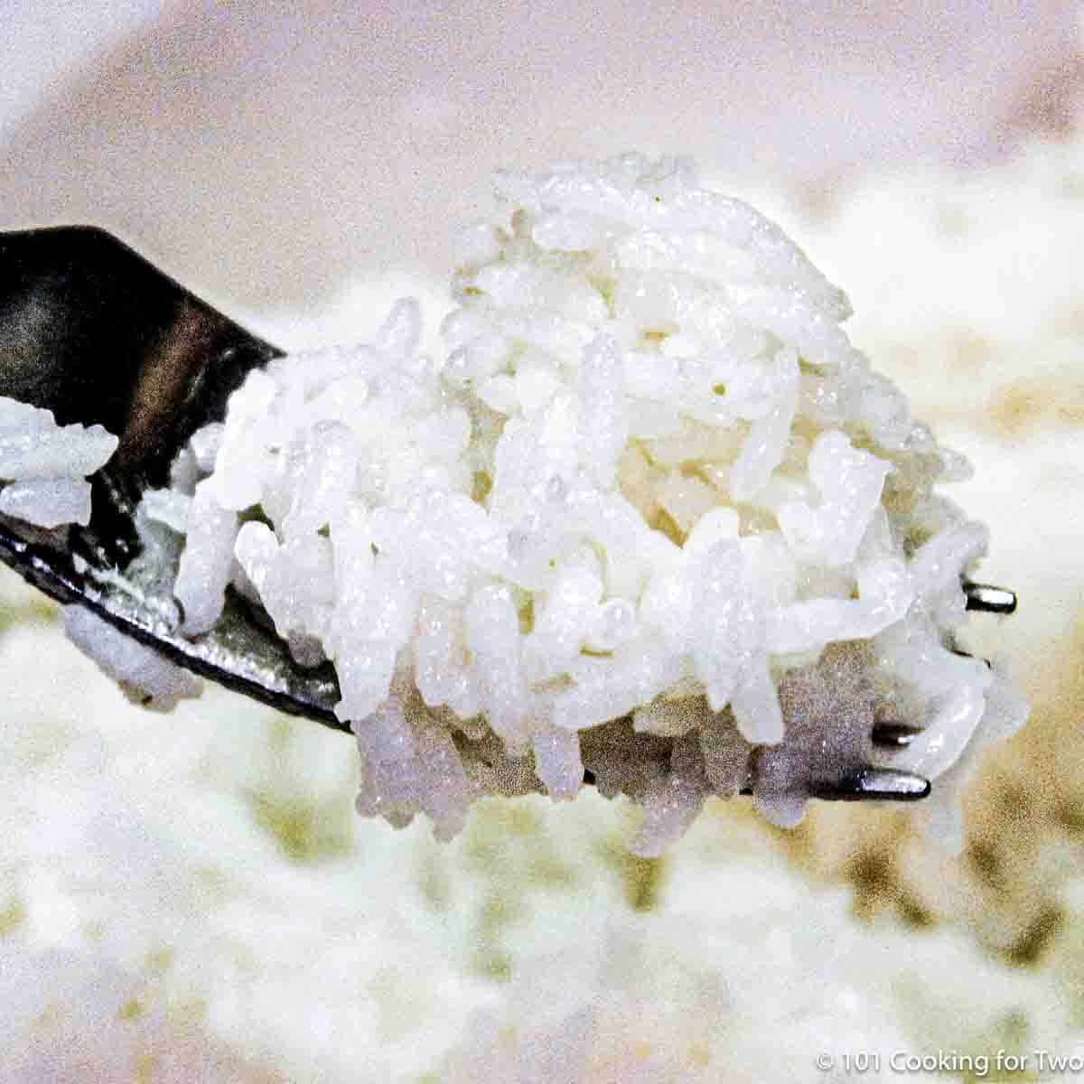 The Guide to Cooking Perfectly Steamed Rice: Asian Kid Edition