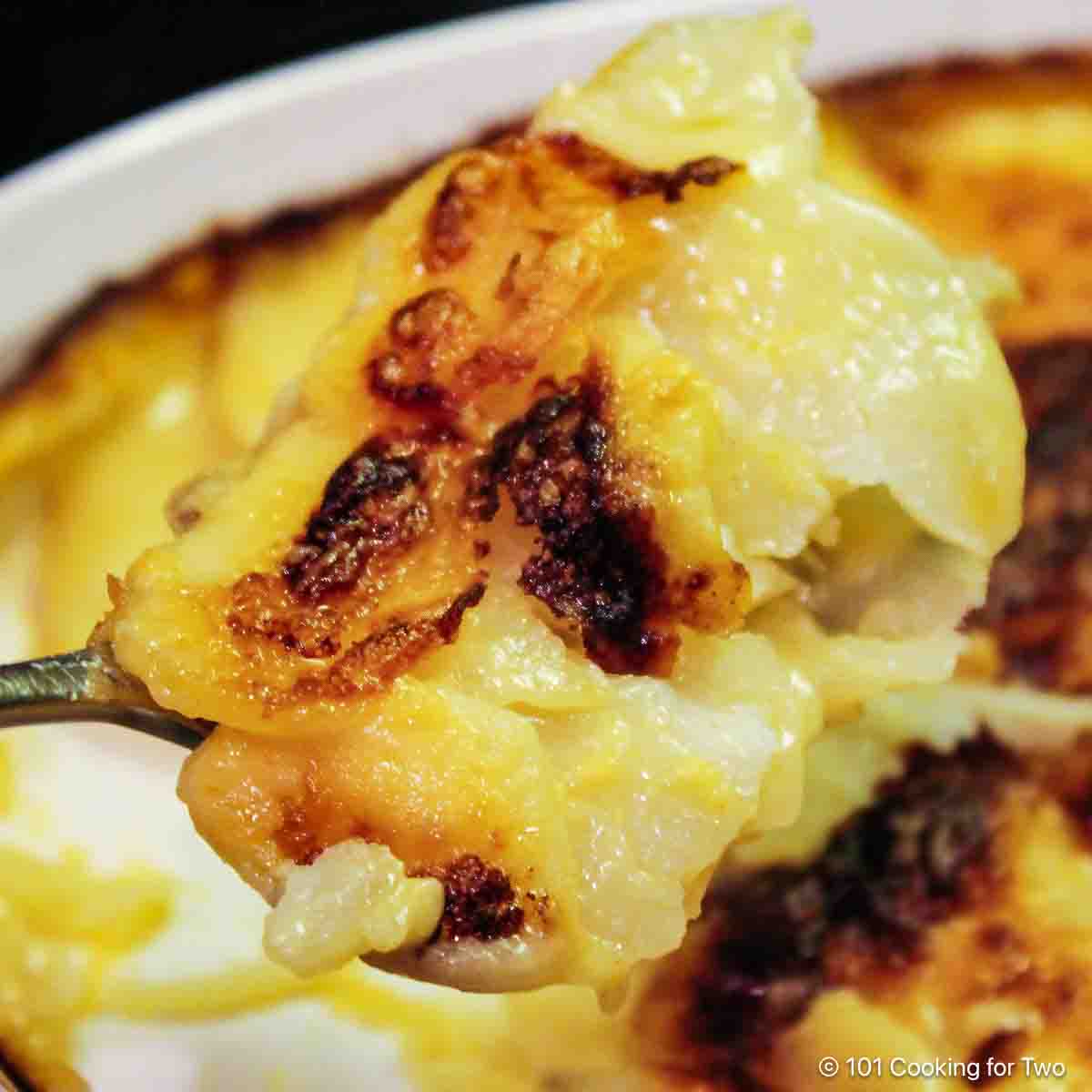 Scalloped potatoes on a spoon.