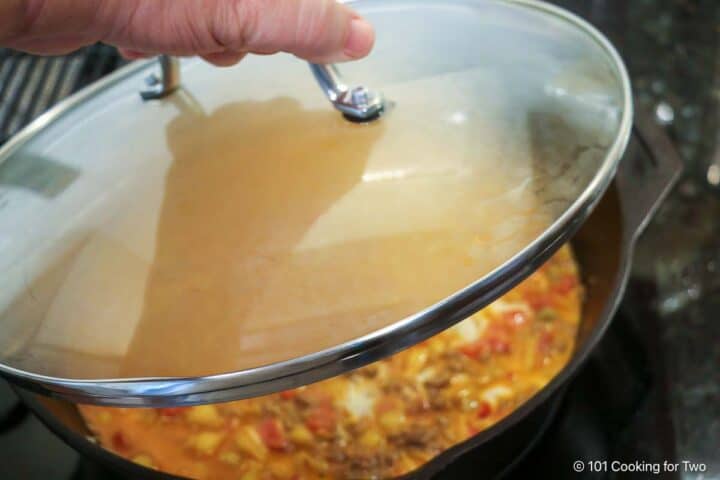 Cover and simmer until the pasta is tender.