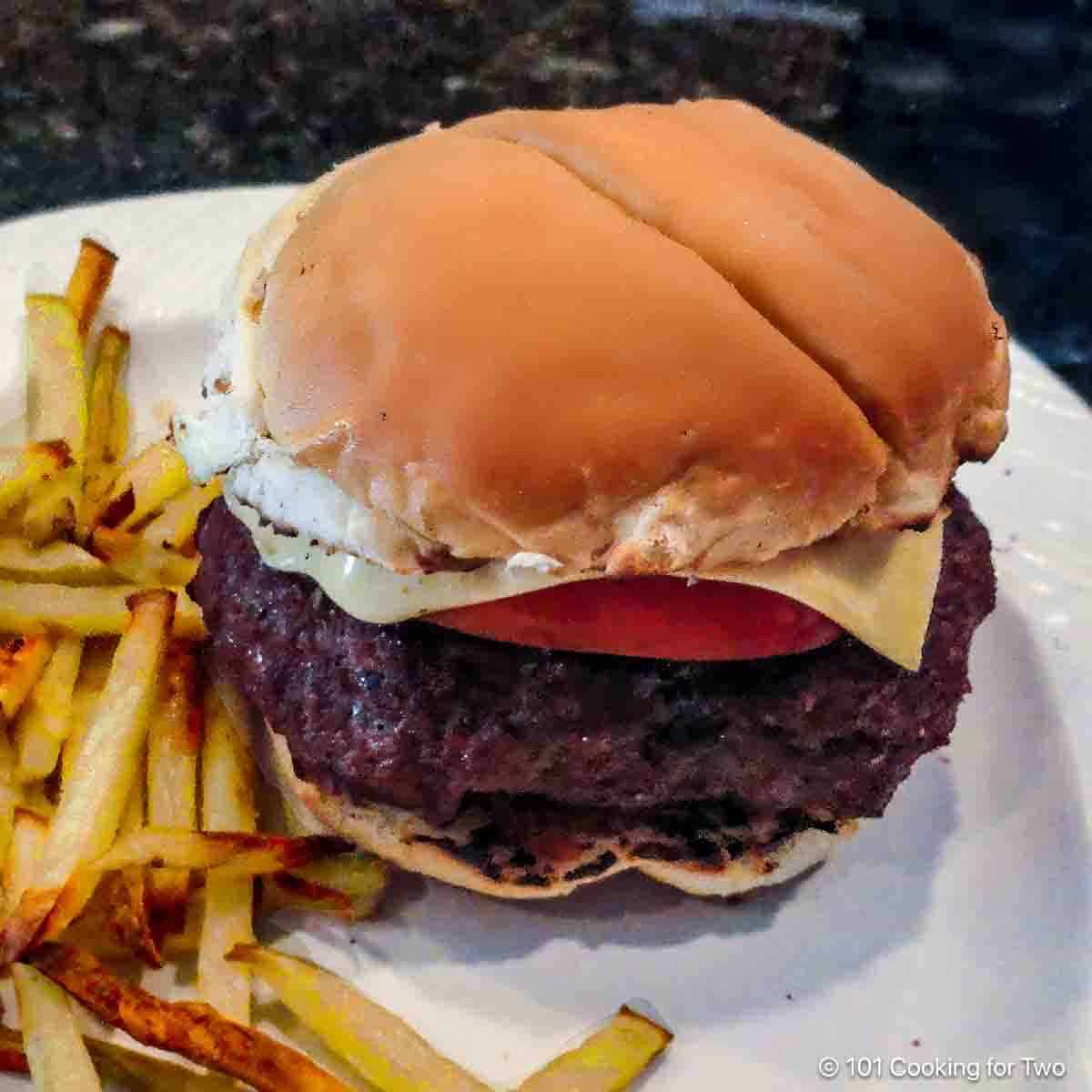 Low Fat burger with fries.